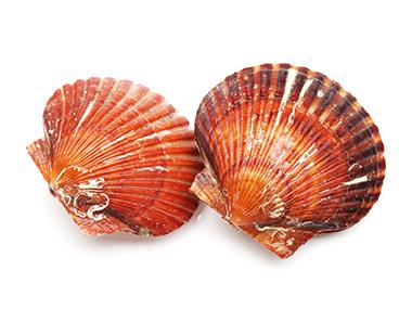 -5% sur les fruits de mer